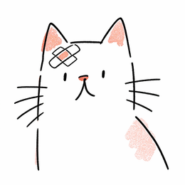 Illustration : un chat avec un pansement